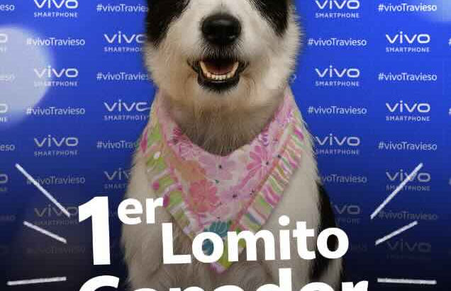 Vivo cerró su concurso #vivoTravieso y estos perritos se llevaron toda la fama (y los premios)