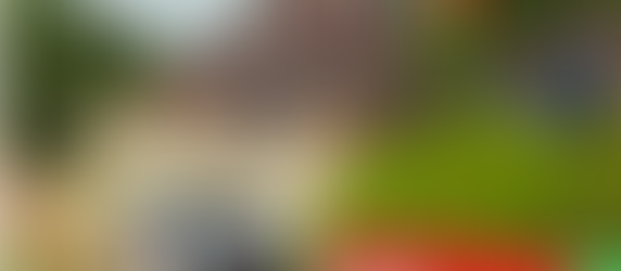 ¡OGIER ARRASA EN PORTUGAL! TOYOTA SIGUE IMPARABLE EN SU RACHA VICTORIOSA