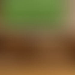 ¿Tu sala o el Azteca? El truco definitivo (y un poco caro) para sobrevivir al verano futbolero