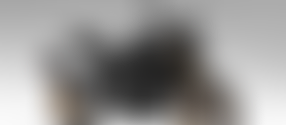 Honda CB750 y CB1000SP: Las nuevas bestias japonesas que llegan a México con tecnología RoadSync