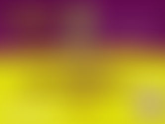 La carrera que está cambiando las reglas del juego en México: correr juntos es el nuevo récord