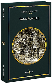 Sans famille wix.png