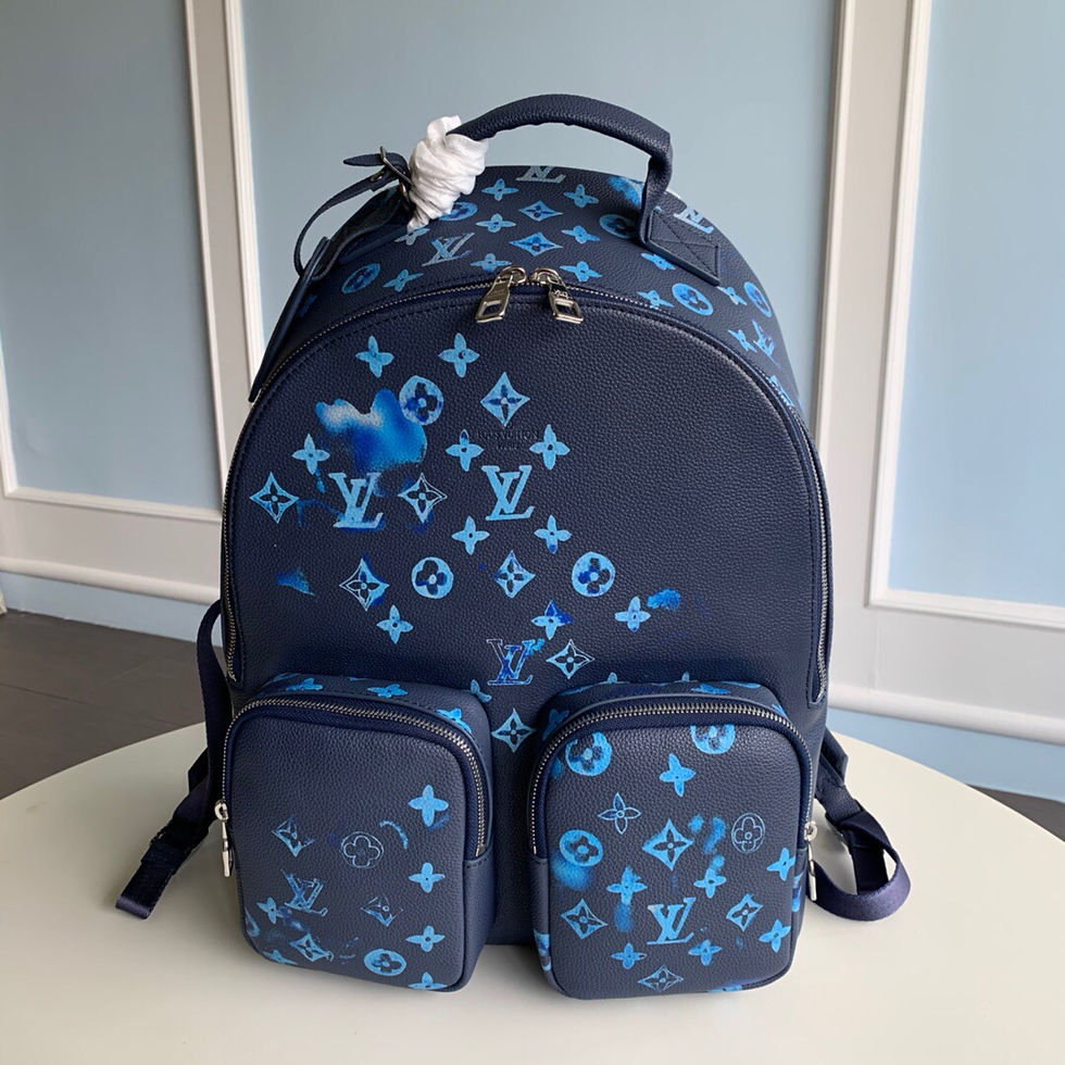 LV BAGPACK MULTIPOCKET