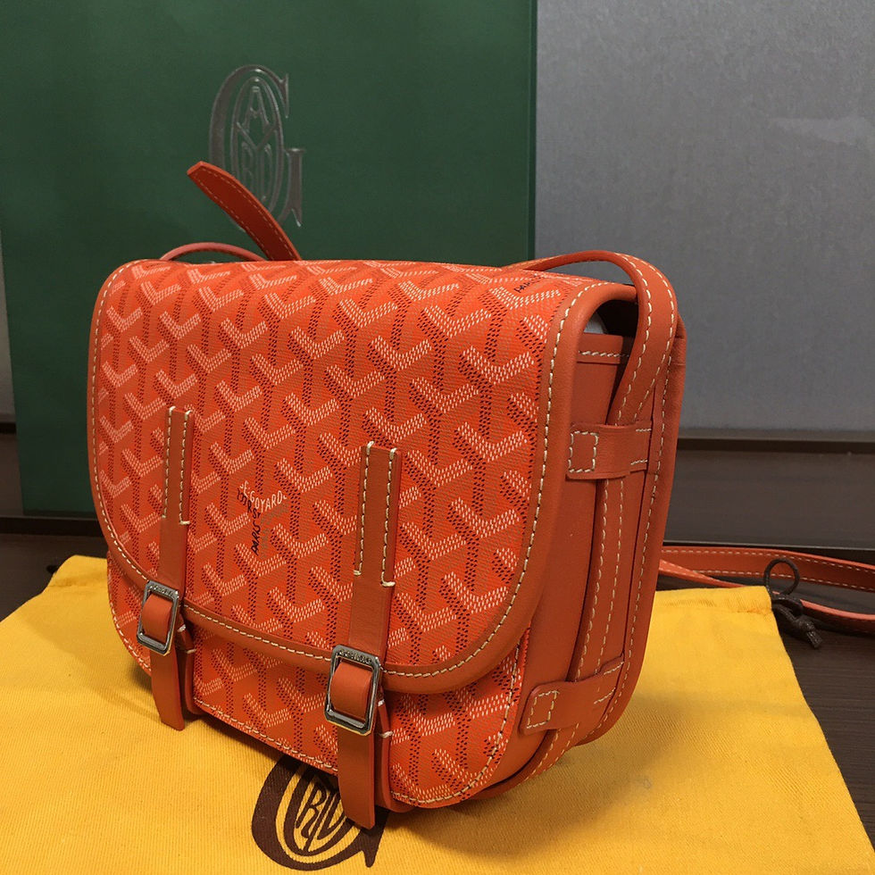 Thumbnail: GOYARD BAG