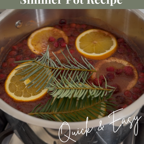 Easy Christmas Simmer Pot