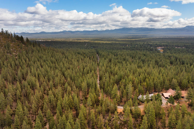 16300 Bates St 4 of 40.jpg