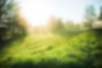iStock-163326547.jpg