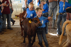 Beef Show 20188668.jpeg