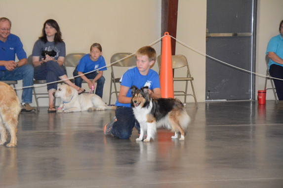 Dog Show 2018 7676.jpeg