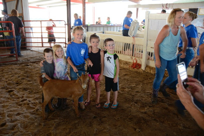 Goat Sheep and Swine Show 2018 8135.jpeg