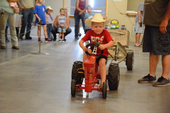 Tractor Pull 20188901.jpeg