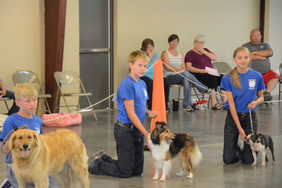 Dog Show 2018 7692.jpeg