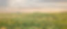 TjadenRanchWebsite-1731.jpg