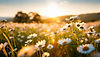 AdobeStock_723355713.jpeg