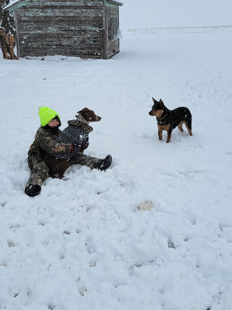 Henry Chrisman - Chrisman Cattle Services Nebraska