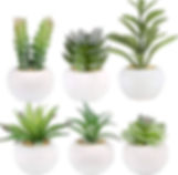 top 20 wedding gift ideas mini potted suculents