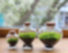 top 20 wedding gift ideas mini terrarium