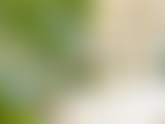 Picture of cookie-cutter homes vs a custom woodworking home.