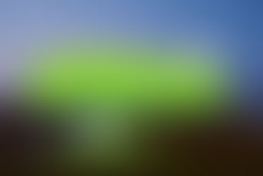 Mobilização mundial. Sem remoer a tristeza, mas entendendo os efeitos da tragédia.