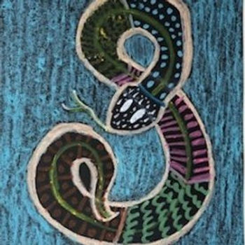 Snake Visual Texture