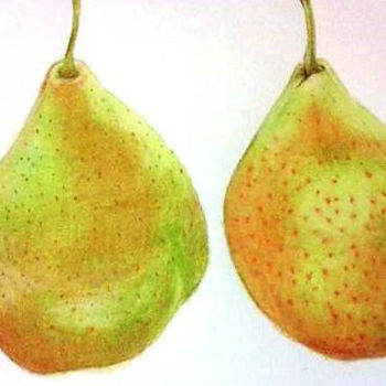 Fruit Portraits