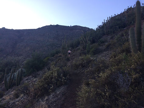 Cerro_Provincia_run (15).JPG