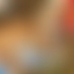 Pet Nutrition: A Comprehensive Guide to Your Furry Friend's Health