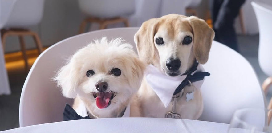 Image 14-8-2025 at 10_edited.jpg