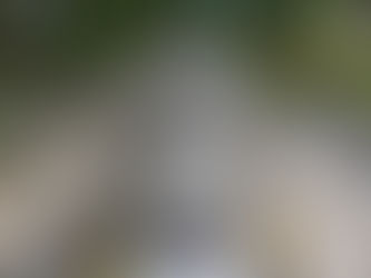 Beyond the Battery: 24/7 Wireless Charging in rows