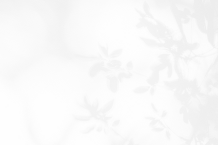 Leaves Shadow _edited_edited_edited_edited.png