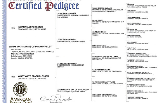 Pedigree