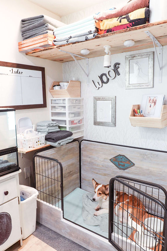 Whelping Room