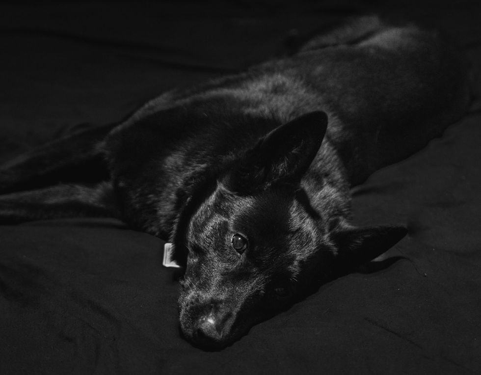 DSC01300.jpeg
