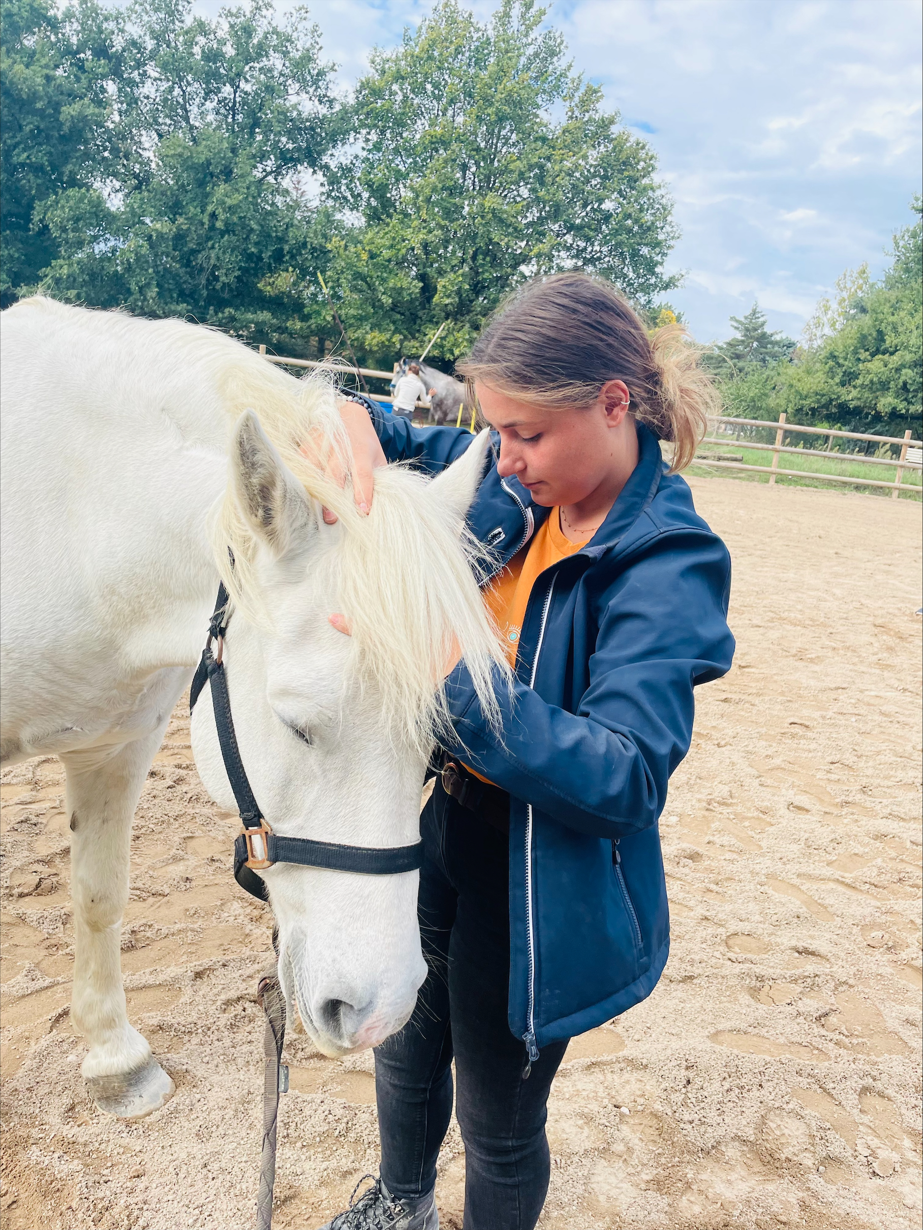 ©ISOstéo Lyon - Spécialisation Ostéopathie Animale - cheval
