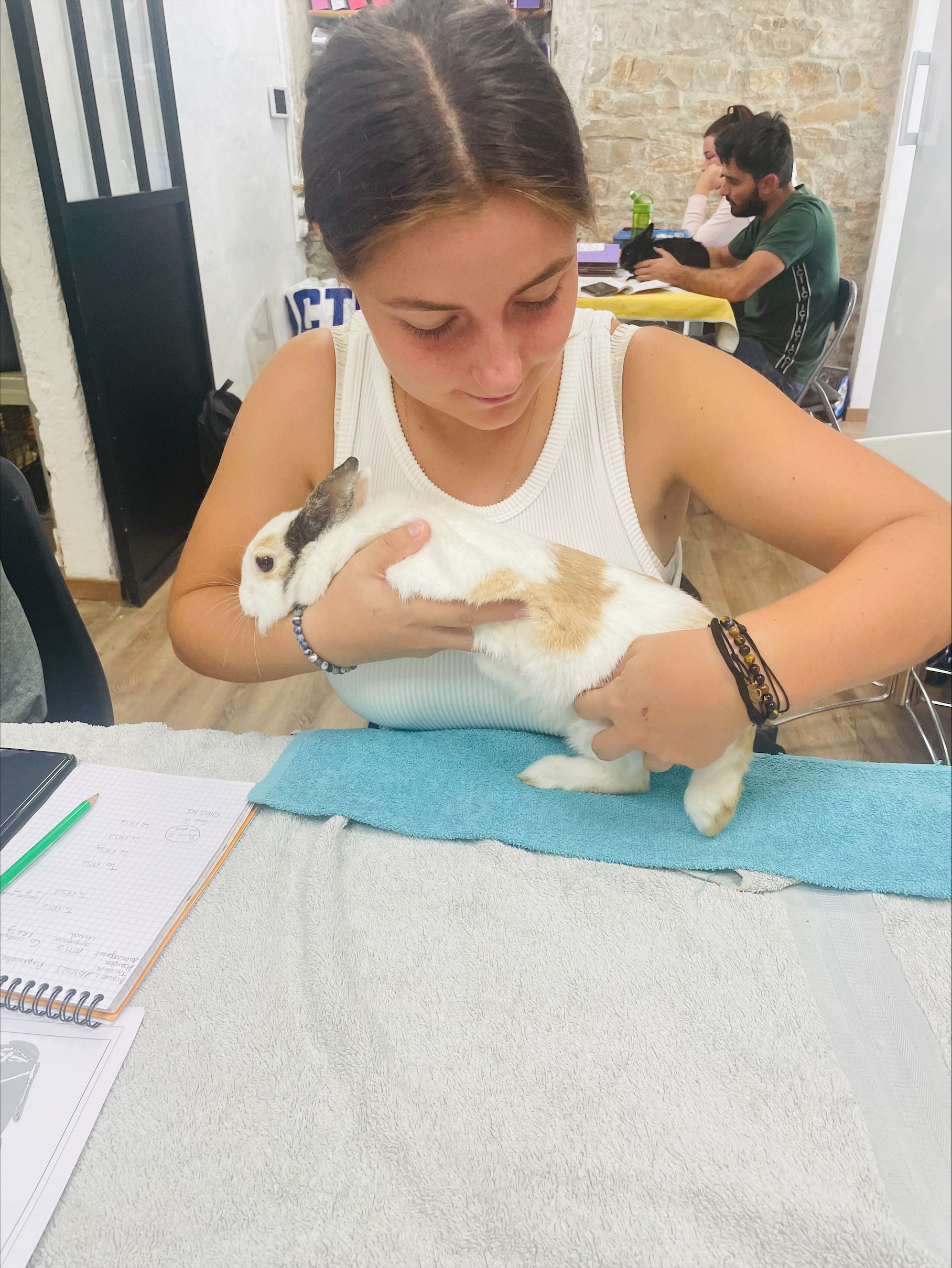 ©ISOstéo Lyon - Diplôme d'Ostéopathie spécialisation Animale - lapin