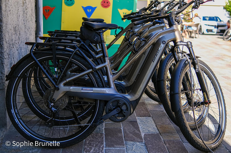 ©Tom & Thierry - Location de vélos - Bourg d'Oisans Alpe d'Huez 02.jpg