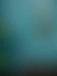 Bleu scandinave - Terra Rossa