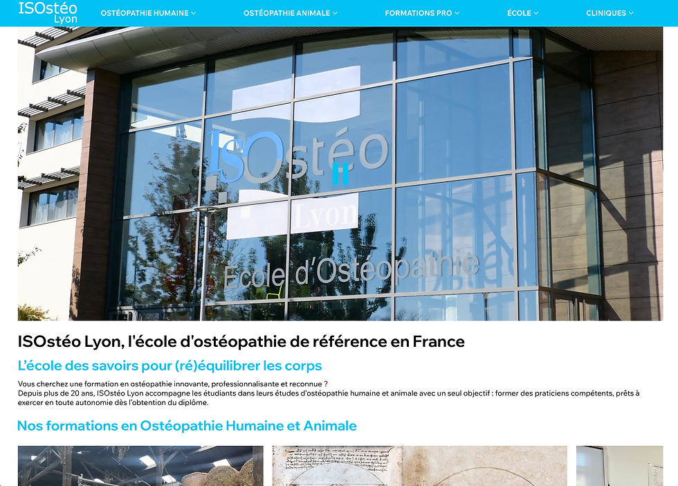 ikken studio - céline dutel - Graphiste print et web, accompagnement au développement d'activité - Site ISOstéo - école d'ostéopathie