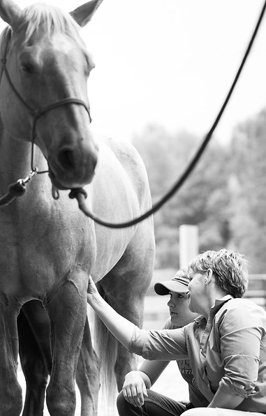 TBT course photo ONUKDMwRfKqReaQ9UCL_5KbUqqVw greyscale.jpeg