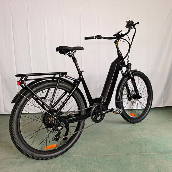 electric bike
