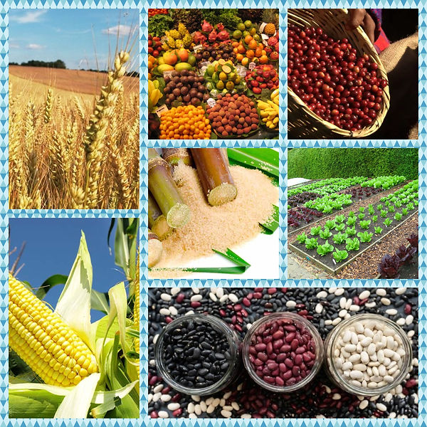 BeFunky-collage (1).jpg