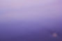 Purple Beach.jpg