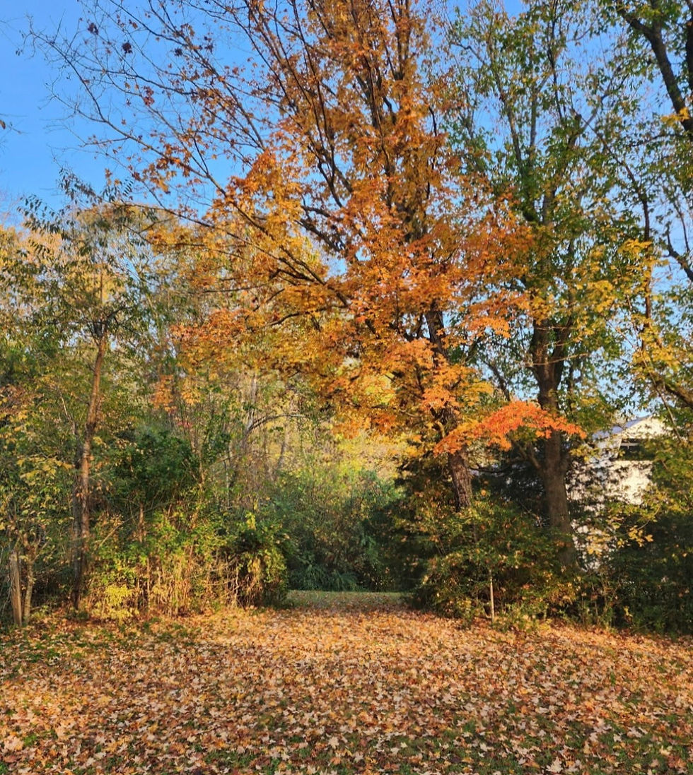 Planning a Fall Wedding in Middle Tennessee?