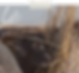 Untitled design (13).png