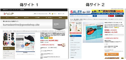 Capillus(カピラス)低出力レーザー育毛器の偽サイト