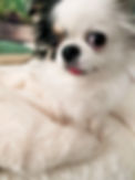 20250218_223221_edited_edited.jpg