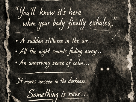 "The Quiet Arrival Sighting"