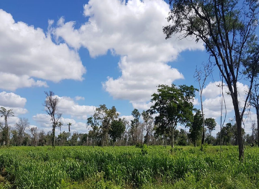 Canoppia Pipeline - Paraguay.jpg