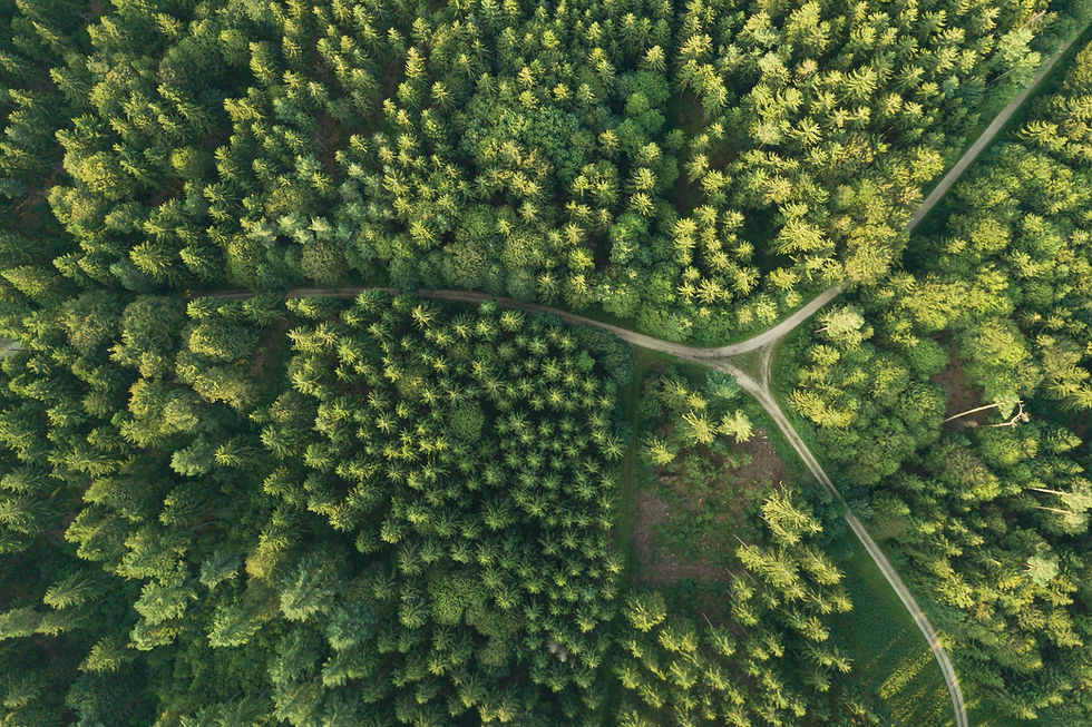 AdobeStock_332964277.jpeg