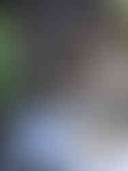 Guests enjoying hamburgers, hot dogs, and grilled chicken from Tommy’s Catering grill party setup